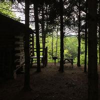 Pine Meadows Cabins - Pet Friendly