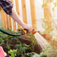 Garden Watering