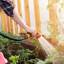 Garden Watering