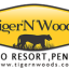 Tiger N Woods