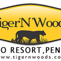 Tiger N Woods