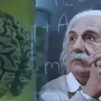 Neuro Energizer reviews