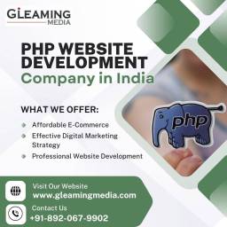 Wordpress site image