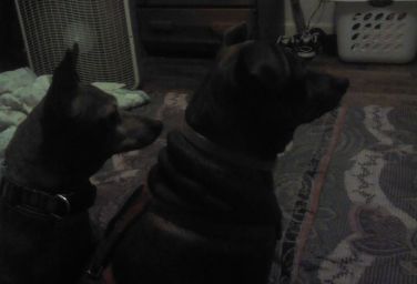 Social network cover