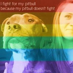 Profile Picture from Facebook