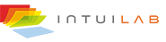 568f8f2257e6ebc02f83115f_Intuilab-Logo-185