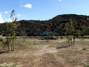 Los Alamos Campgrounds - Lebec, CA - RV Parks