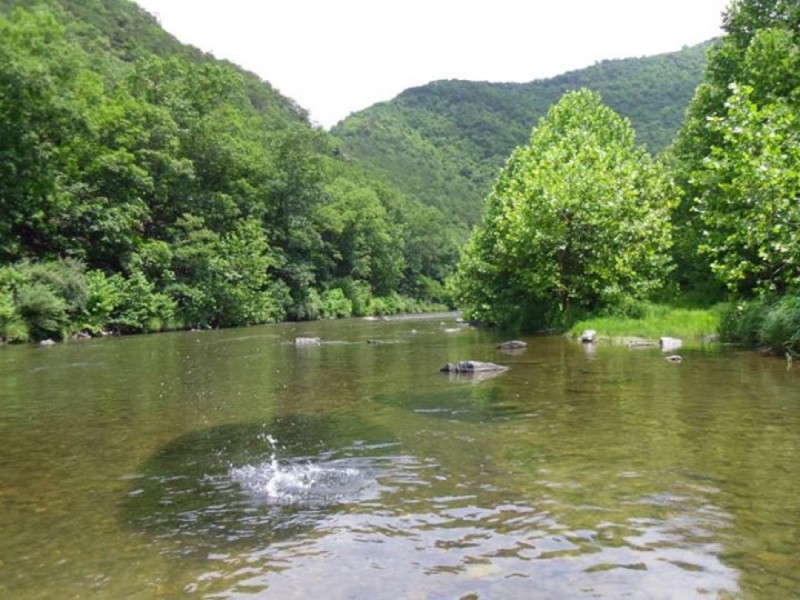 Big Bend Campground Upper Tract, WV National Parks