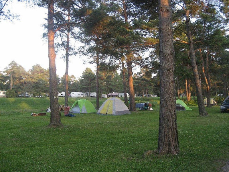 Pine Creek Campground Newfield NY RV Parks RVPoints Com   Pin201 49 1499283509 