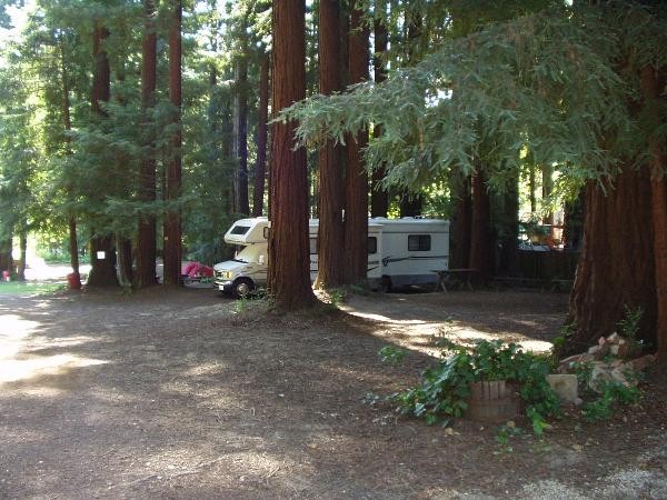 Redwood Resort - Boulder Creek, CA - RV Parks