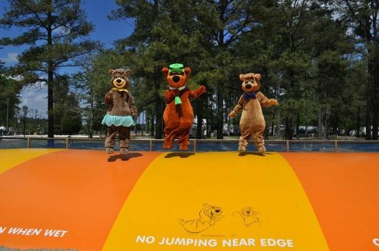 Yogi Bear's Jellystone Park Camp - Resort at Gloucester Point - Hayes, VA - Yogi Bear's Jellystone