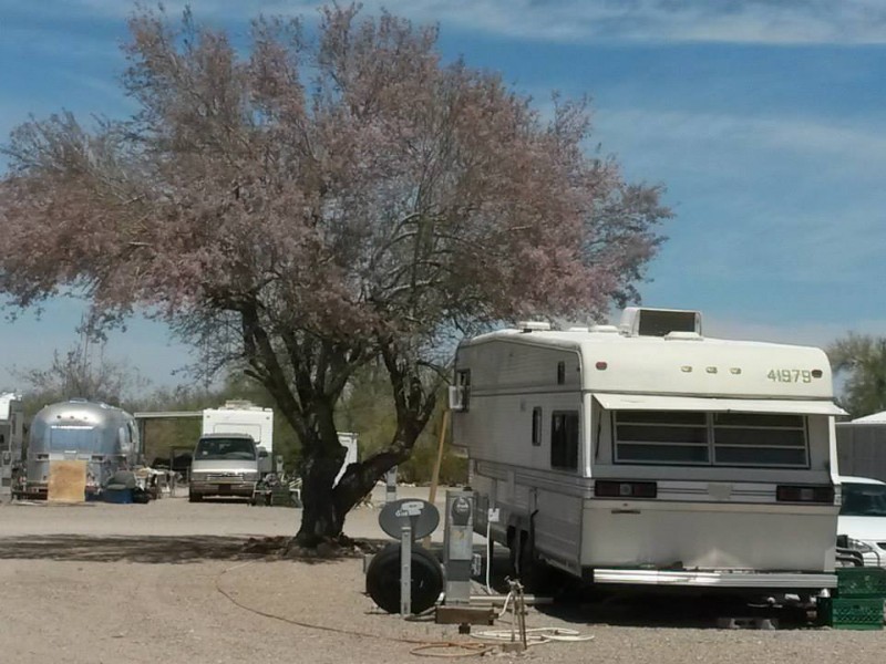 Split Rail RV Park - Quartzsite, AZ - RV Parks - RVPoints.com