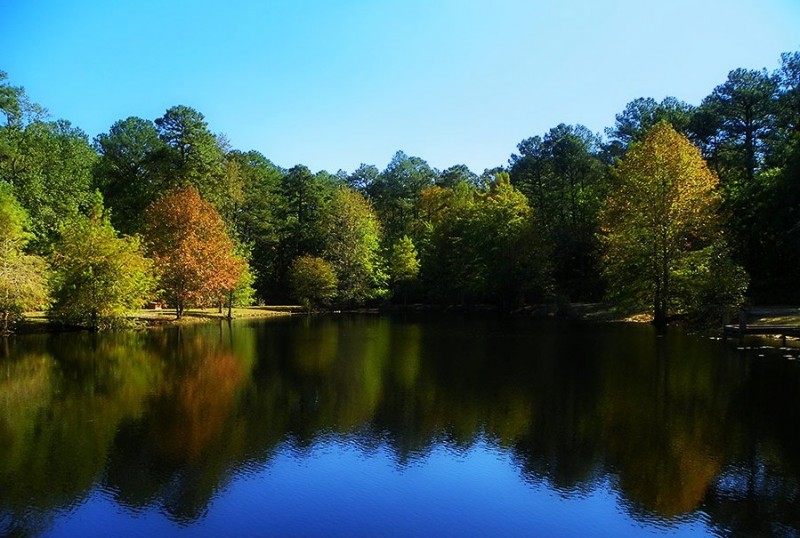 Pocomoke River State Park - Snow Hill, MD - Maryland State Parks ...