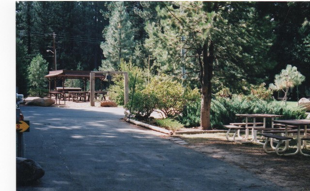 Escape to Northern California's Hidden Gem: Coachland RV Park Adventure!