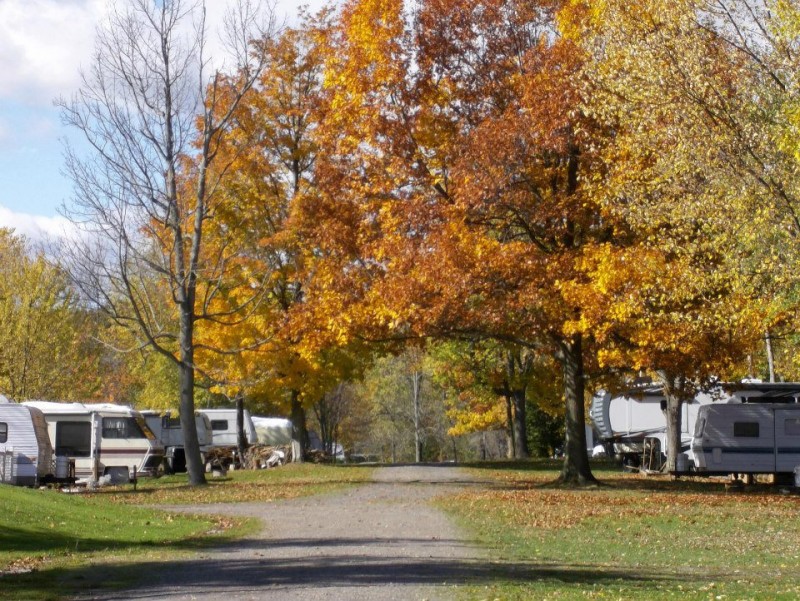 Lake Bluff Campground - Wolcott, NY - RV Parks - RVPoints.com