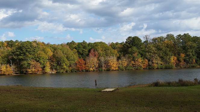 Lake Lowndes State Park Columbus Ms Mississippi State Parks