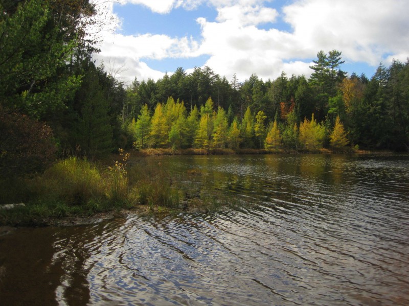 Beaver Lake Campground ChequamegonNicolet National Forest