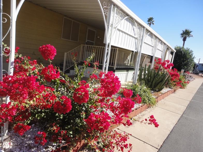 Apache Junction Mobile Home Park Apache Junction, AZ RV Parks