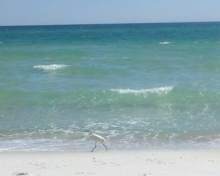 Panama City Beach RV Resort Panama City Beach, FL RV Parks