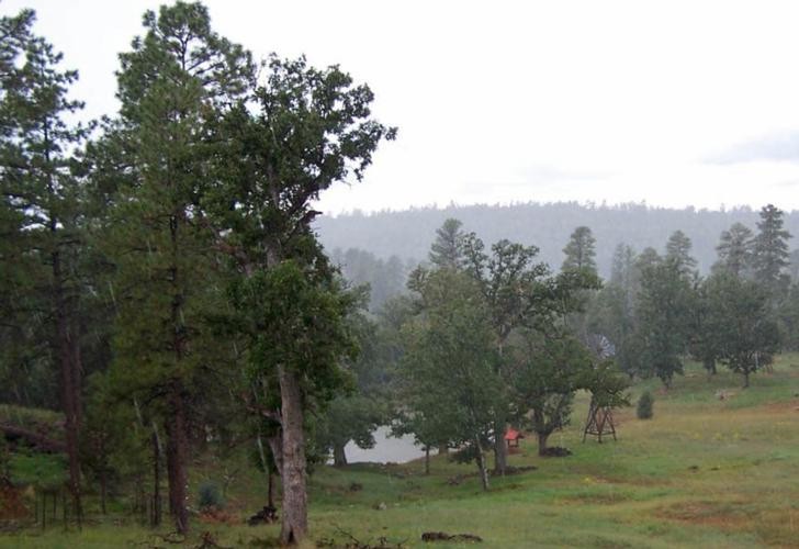 Happy Jack Lodge & RV Resort Happy Jack, AZ RV Parks