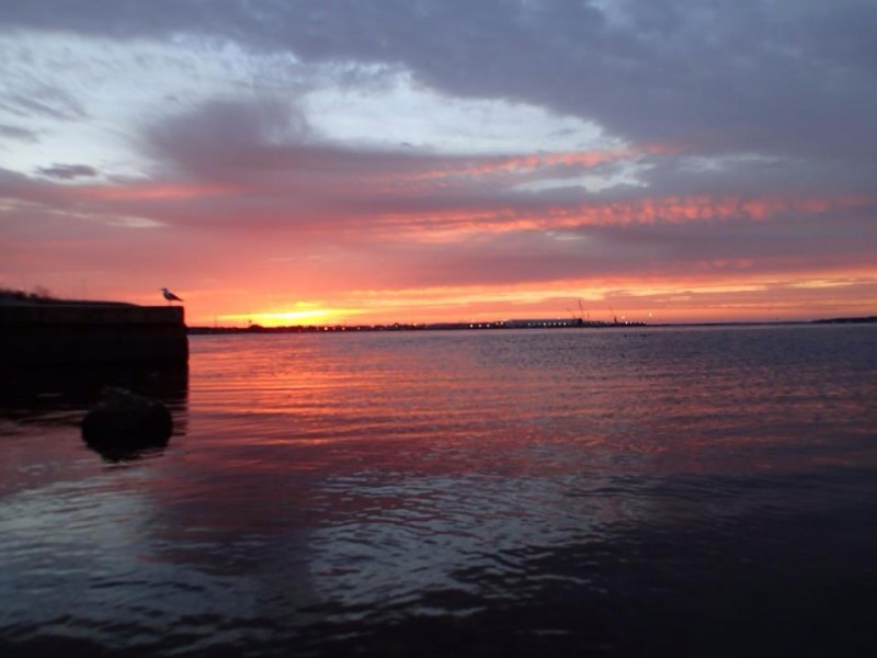 Panama City Beach RV Resort Panama City Beach, FL RV Parks