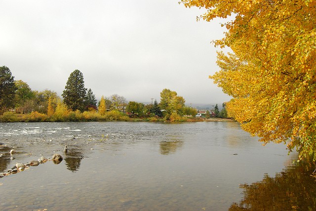 Wenatchee River County Park - Monitor, WA - County / City Parks ...