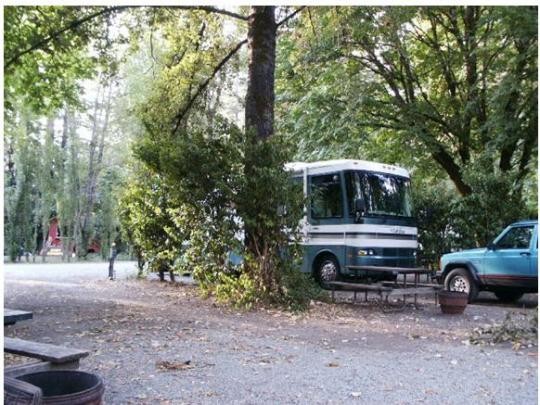 Giant Redwoods Rv & Camp - Myers Flat, CA - RV Parks