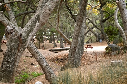 Lilac Oaks Campground - Valley Center, CA - RV Parks