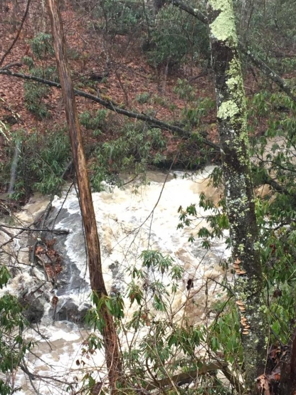 Middle Fork River Campgrounds Buckhannon, WV RV Parks