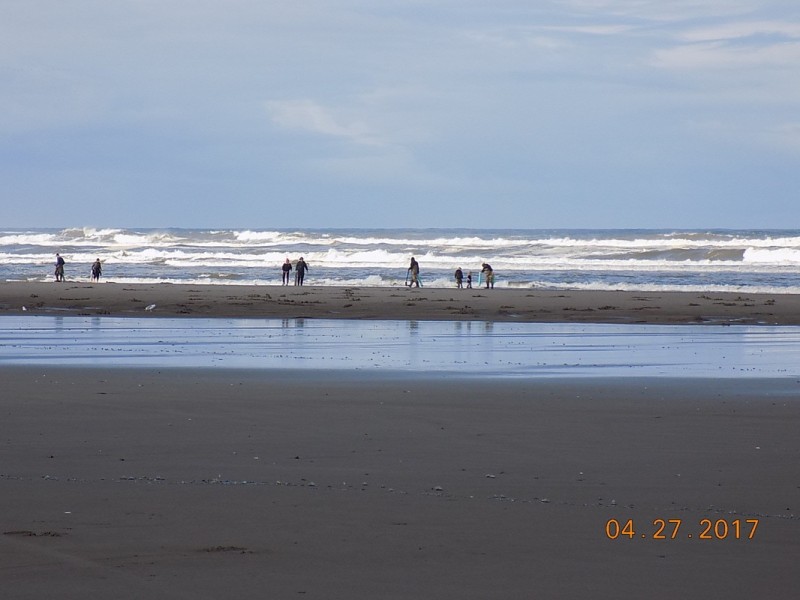 Oyster Beach RV Resort Ocean Park, WA RV Parks
