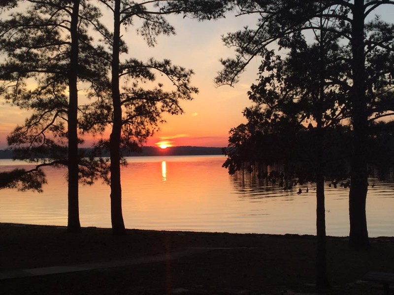 Cotton Hill Campground Fort Gaines, GA RV Parks