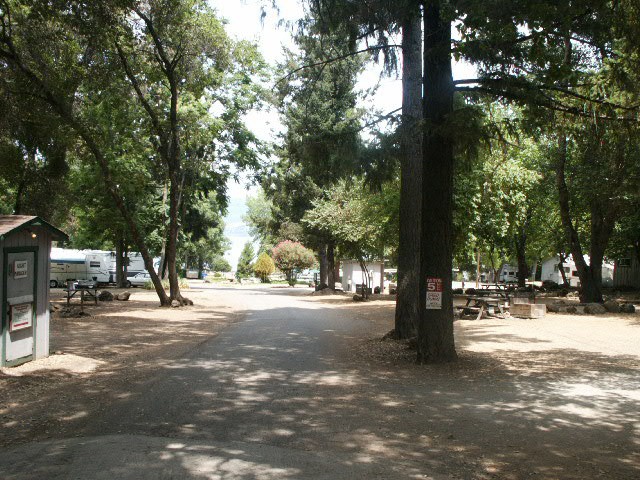Bay Pines Travel Trailer Park - Morro Bay, CA - RV Parks