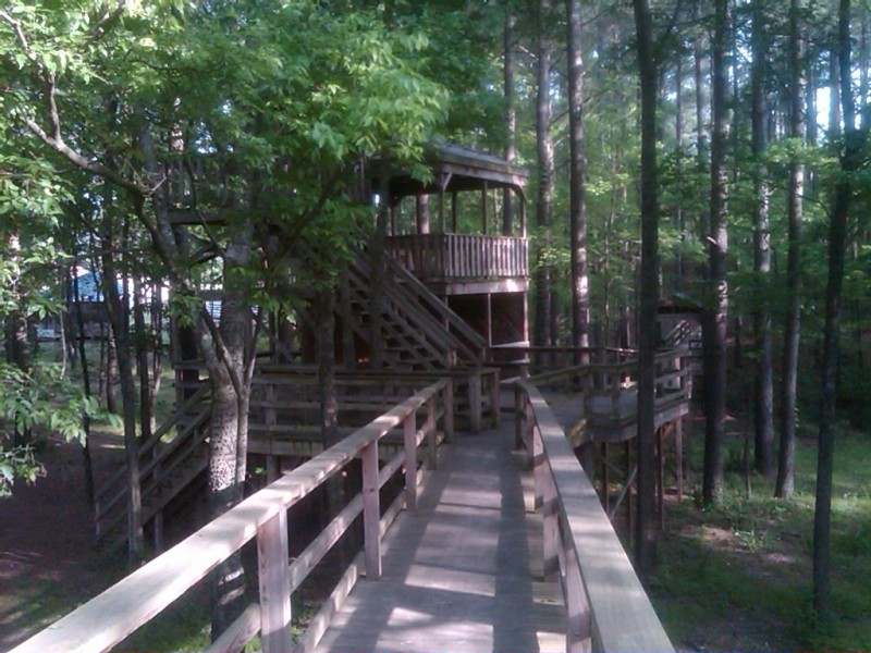 Cedar Glades Park Hot Springs, AR County / City Parks