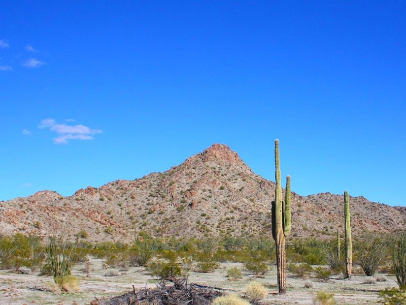 Brenda RV Resort Salome, AZ RV Parks