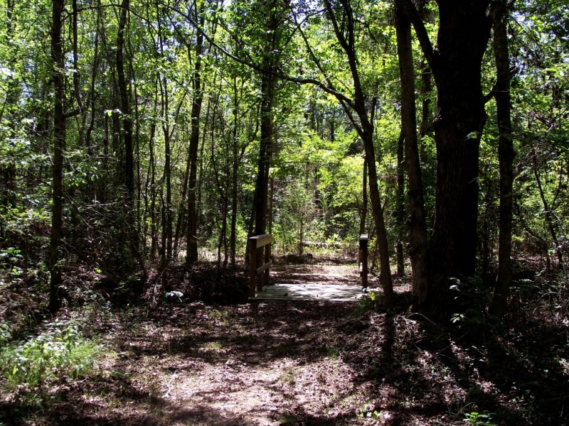 Lake Dardanelle State Park - Russellville, AR - Arkansas State Parks ...