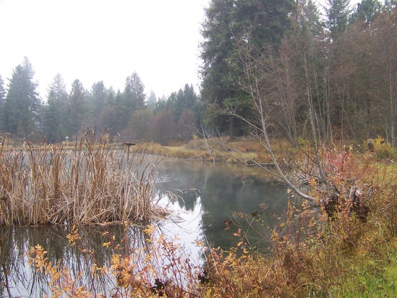 Birdland Bay RV Resort Thompson Falls, MT RV Parks