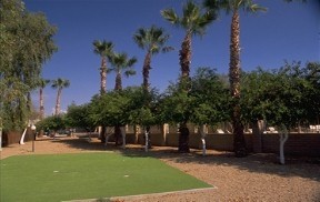 Desert Skies - Phoenix, AZ - RV Parks