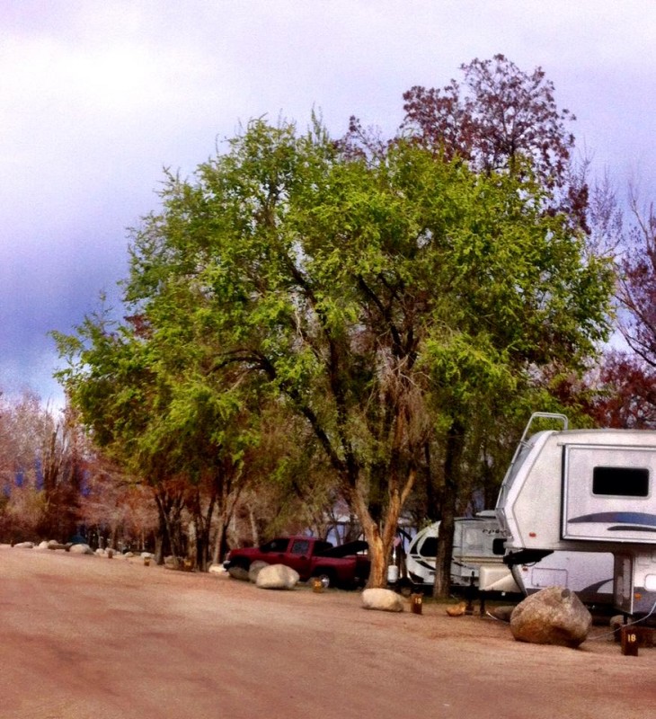 Brown's Millpond Campground - Bishop, CA - RV Parks