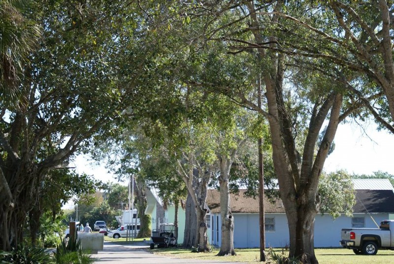 Meadowlark Shores RV Park Moore Haven, Fl RV Parks