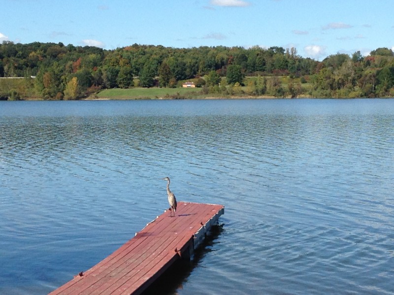 Woodcock Lake Park - Meadville, PA - County / City Parks