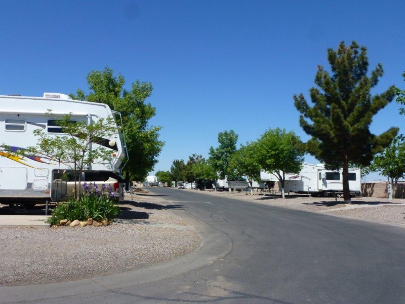 Lexington Pines Resort - Safford, AZ - RV Parks - RVPoints.com