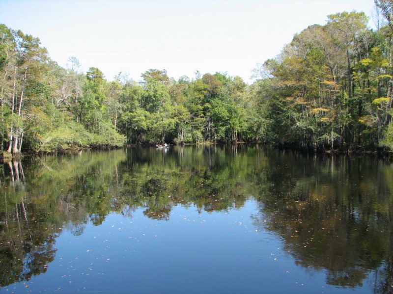 Singles in orrum north carolina