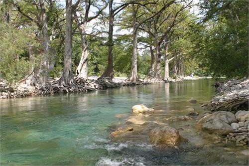 Arcadia Peace River Campground - Arcadia, FL - RV Parks - RVPoints.com