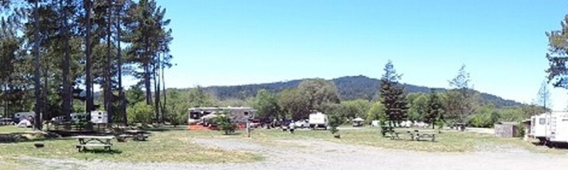 Olema Campground - Olema, CA - RV Parks