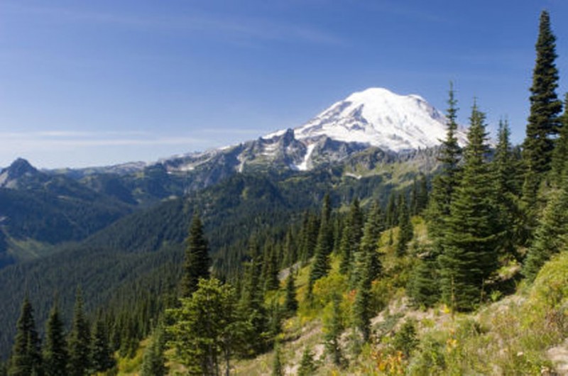 Pilot RV Park Stanfield, OR RV Parks