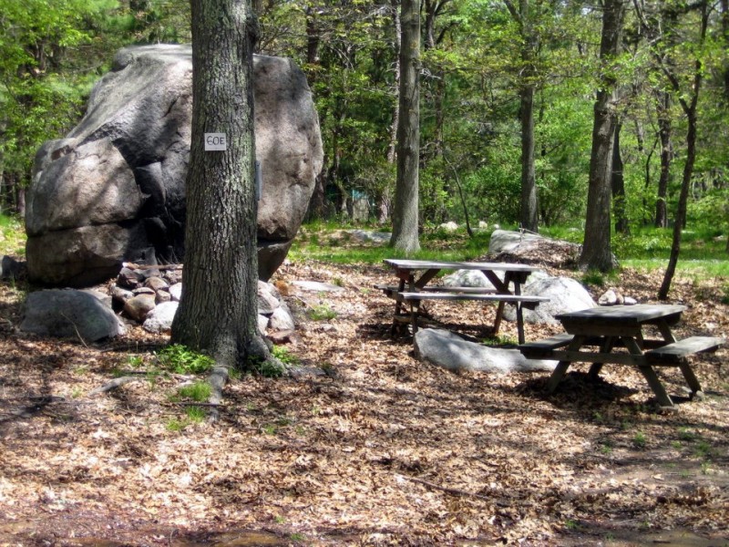 Cape Ann Camp Site - Gloucester, MA - RV Parks - RVPoints.com