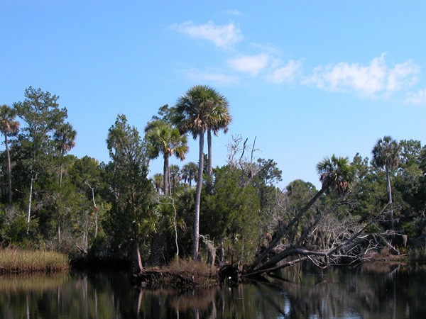 Econfina River State Park - Econfina, FL - Florida State Parks ...