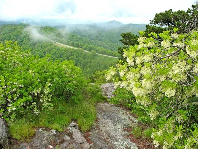 A & C Campground Sparta, NC RV Parks