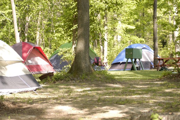 Wilderness Campgrounds - Dundee, Mi - Rv Parks - Rvpoints.com