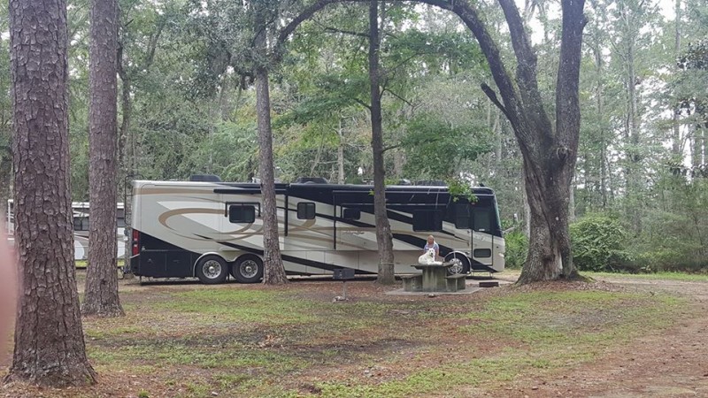 Newport Campground - Crawfordville, FL - County / City Parks - RVPoints.com